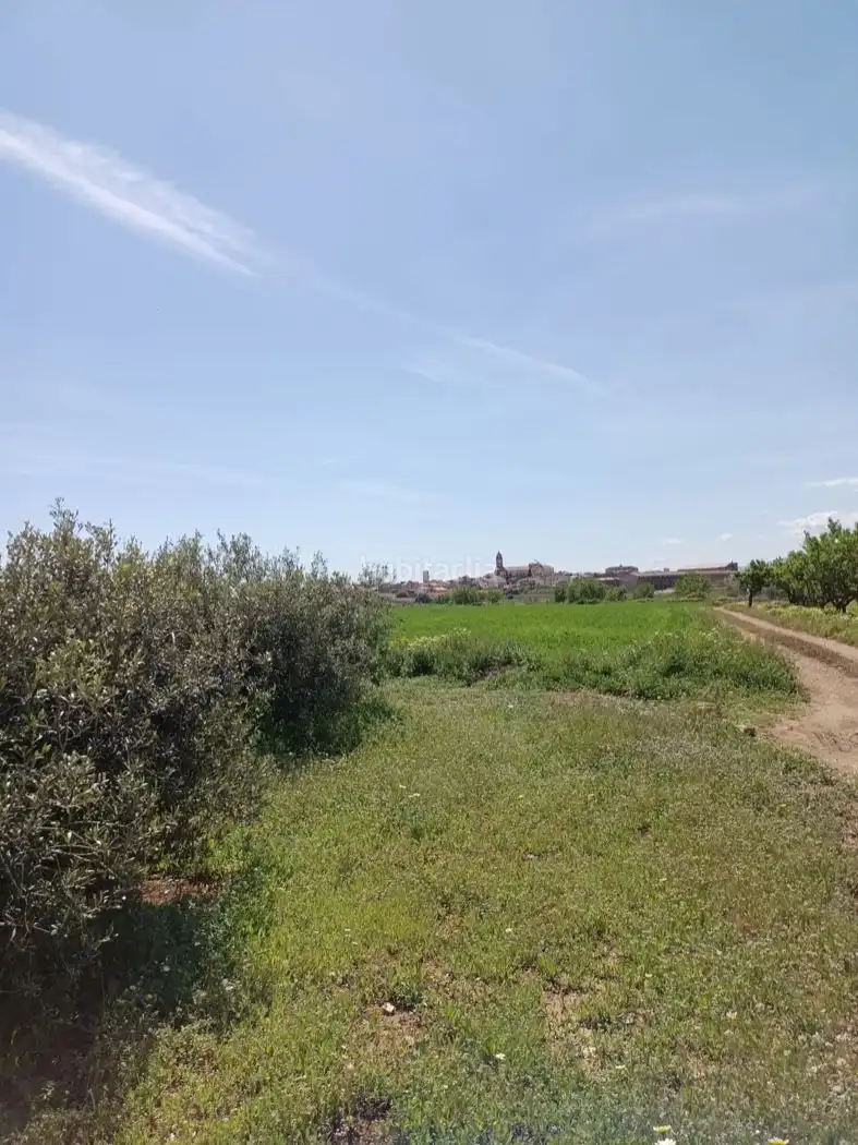 Rural land for sale in Carrer Molí del Mig 29, imagen 9