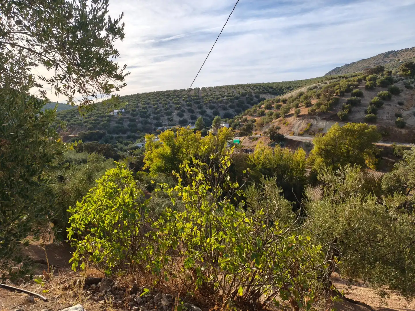 Finca rústica en venta en Iznájar