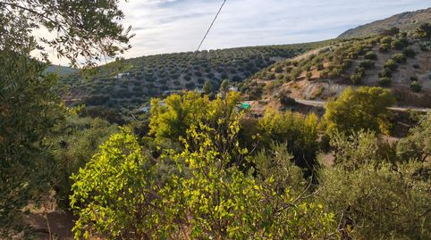 Foto 4 de Finca rústica en venta en Cierzos y Cabreras, Iznájar, Córdoba
