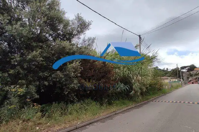 Lands and plots for sale in Flors, imagen 7