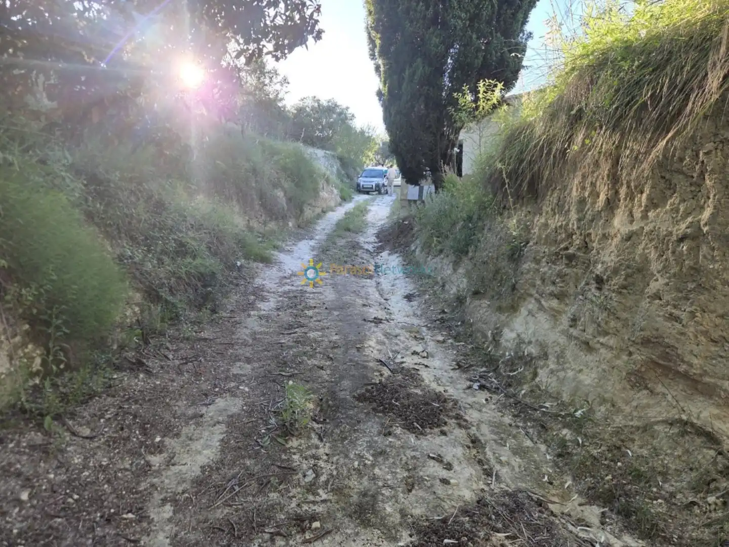 Terreny rústic en venda a Bélgida, imagen 13
