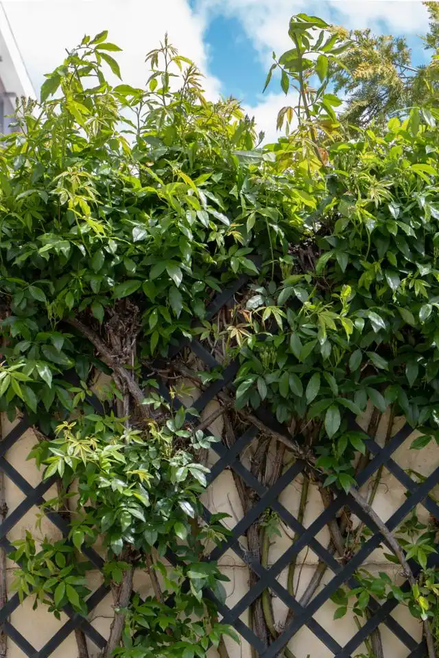Jardí de Casa o xalet en venda en Ávila amb Calefacció, Jardí privat i Terrassa
