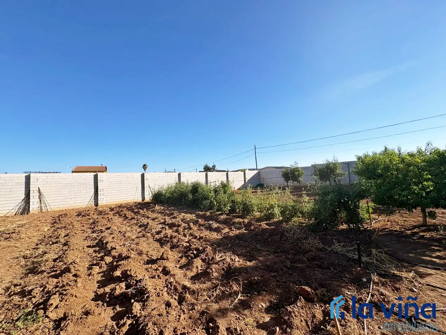 Rural land for sale in Mollina, imagen 6