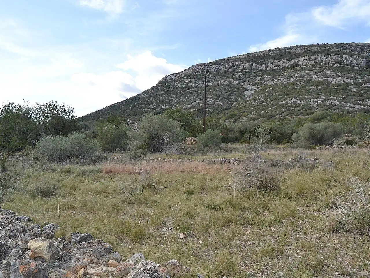 Terreny rústic en venda a Pont Godall/Dressera/Ermita, imagen 8