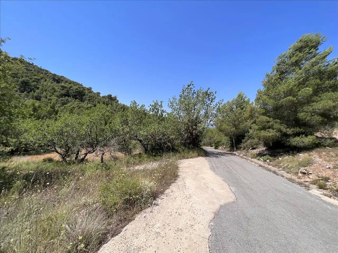 Residential land for sale in Proc. Simplificado, imagen 3