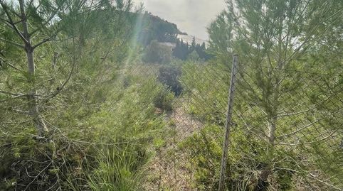 Foto 4 de Terreno en venta en Partida Sogay-industria, 52, Altea la Vella, Altea
