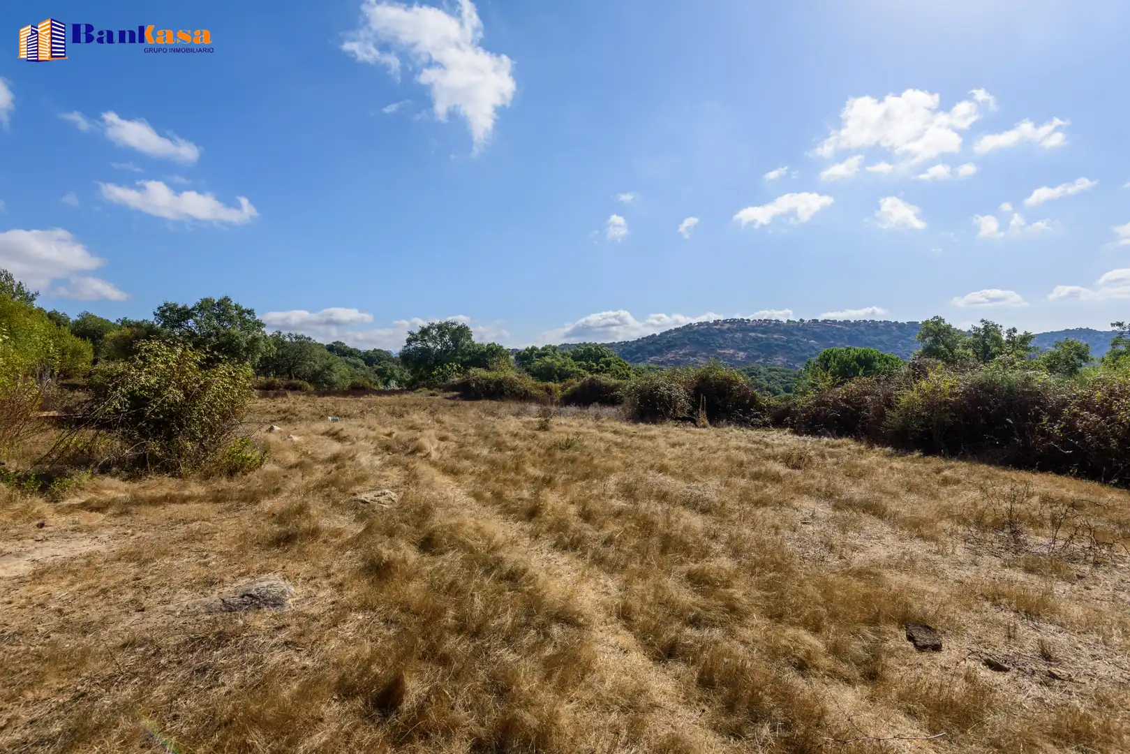 Casa o xalet en venda en Cortes de la Frontera amb Calefacció, Jardí privat i Moblat