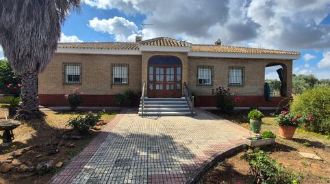 Foto 2 de Casa o chalet en venta en Carmona, Sevilla