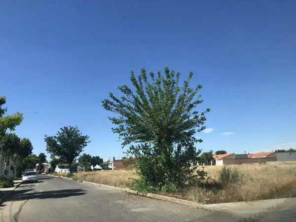 Terreny residencial en venda a Carretera Cinco C Herencia, imagen 2