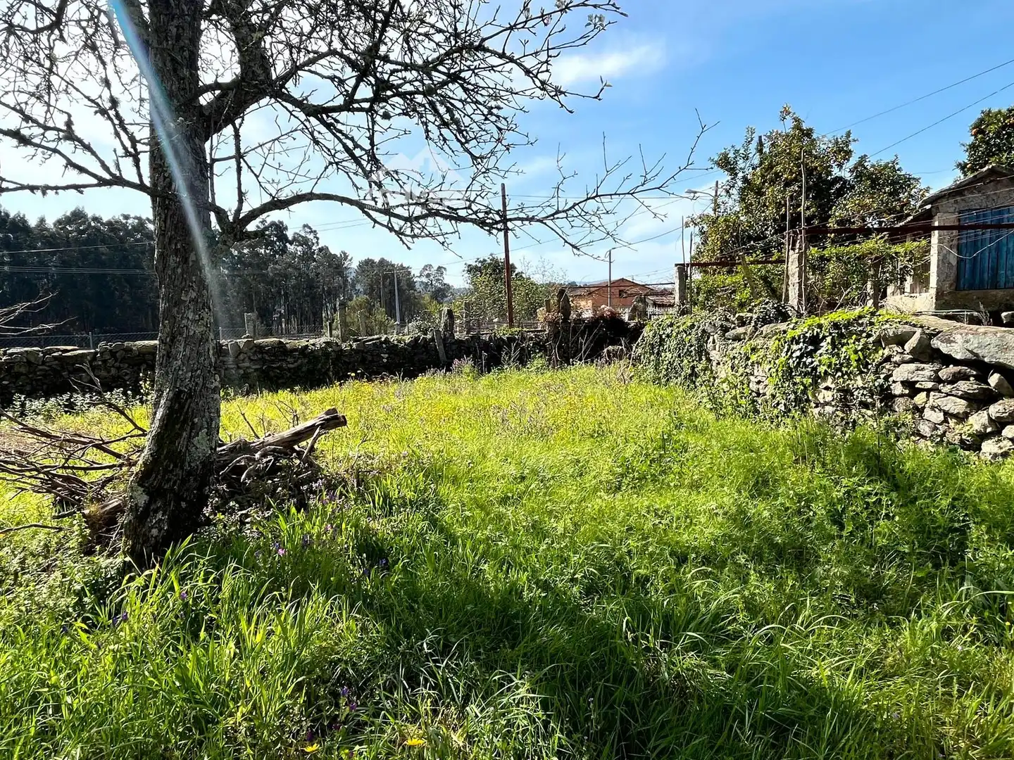 Rural land for sale in Arbo, imagen 3