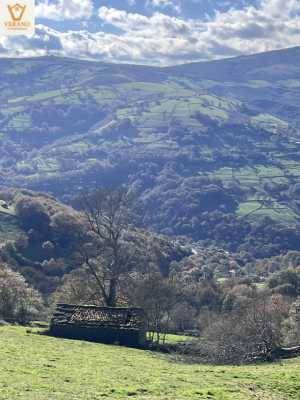Finca rústica en Venta en Luena