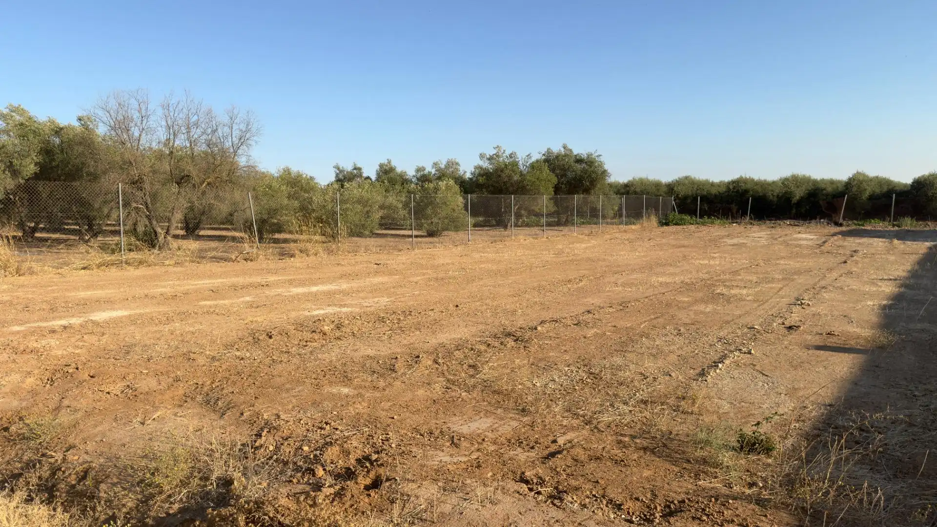 Terreno rústico en venta en Los Palacios y Villafranca, imagen 3