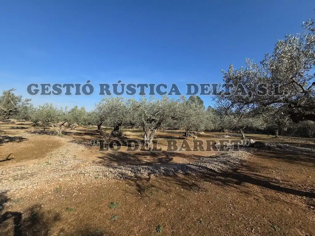 Finca rústica en venda en L'Ampolla amb Terrassa