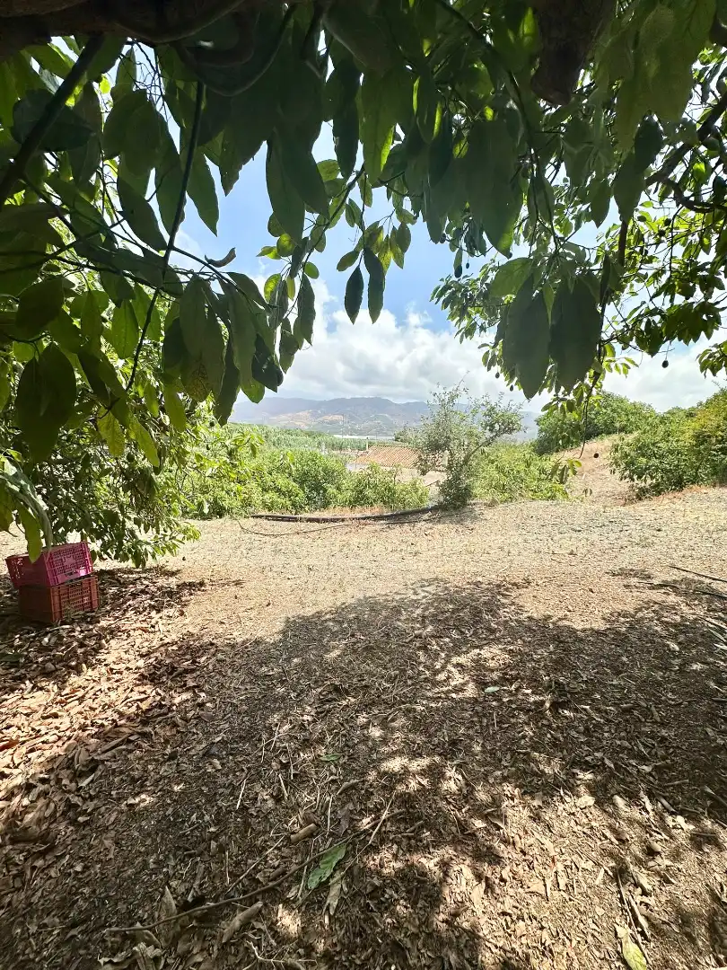 Country homes for sale in Benamocarra  with Private garden, Storage room and Swimming Pool