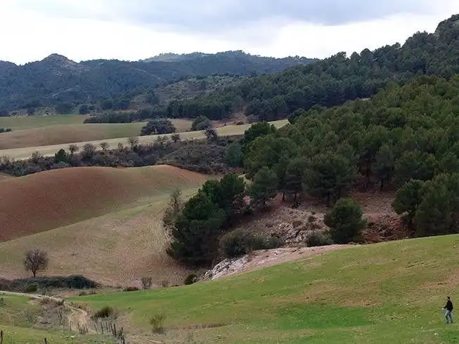 Terreno residenziale in vendita a Ardales, imagen 11