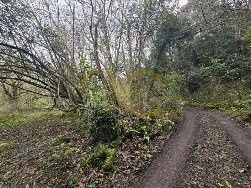 Terreno rustico in vendita a Balmori, imagen 16