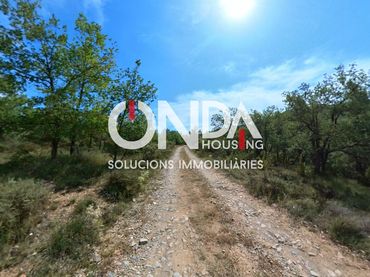 Rural land for sale in POLIGON 4 FIGOLS 30
