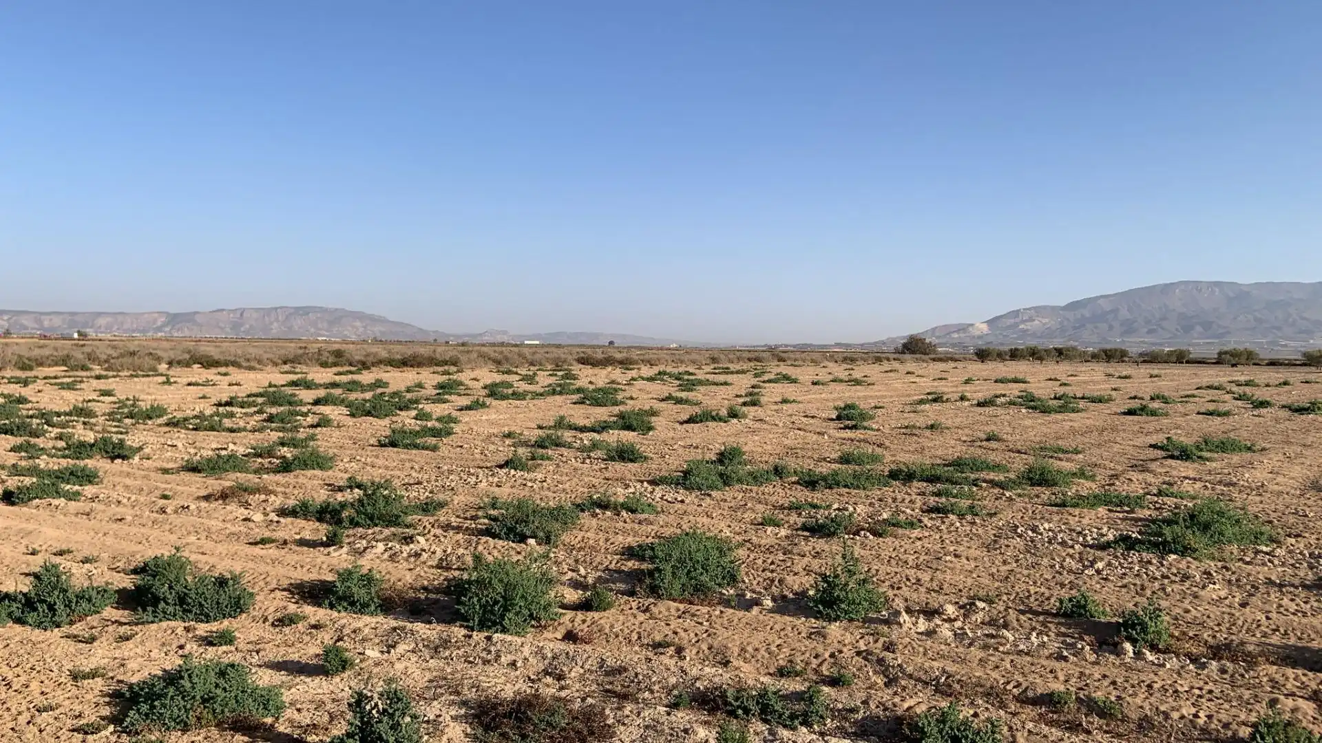 Terreno en venta en Alhama de Murcia