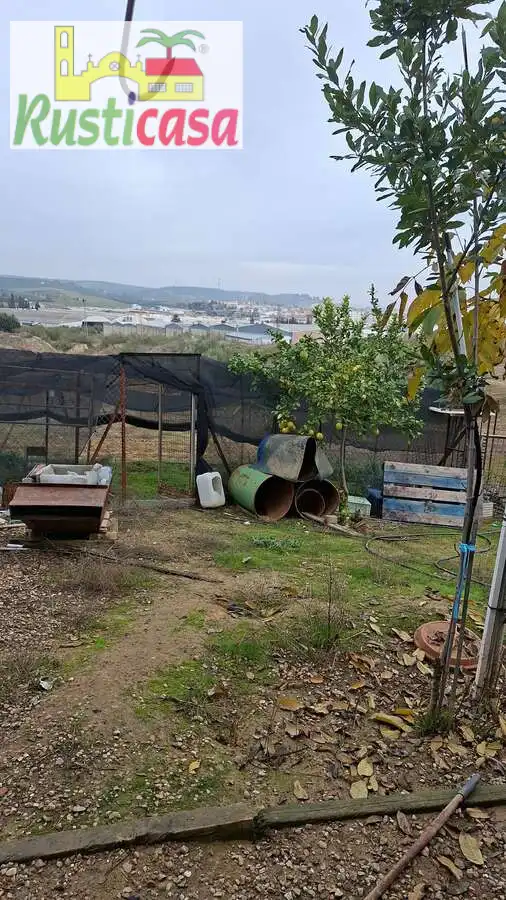 Terreni e lotti in vendita a Sevilleja, imagen 10