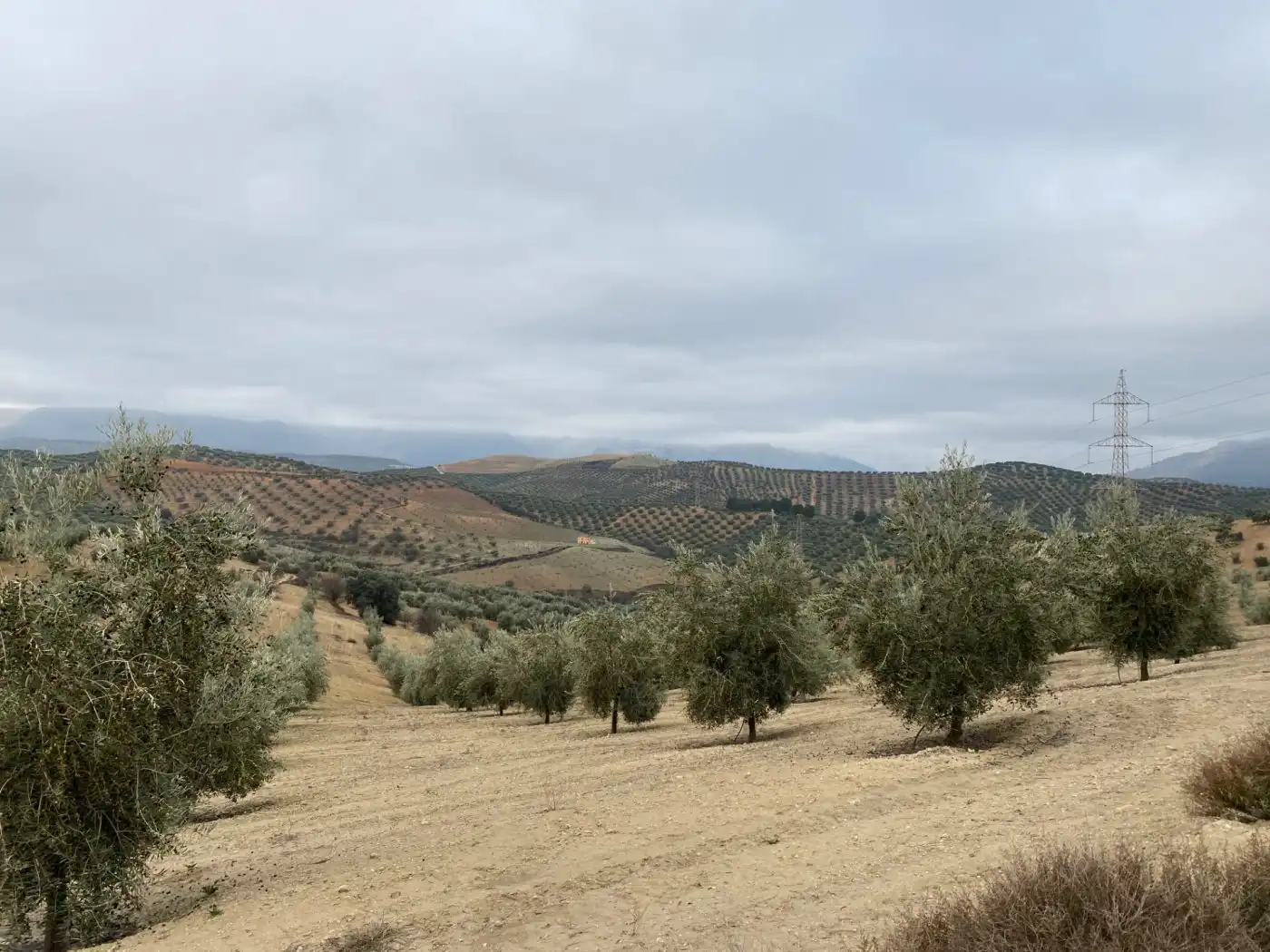 Casa rustica in vendita a Huétor Tájar, imagen 14