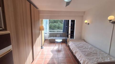 Foto 3 de Estudio de alquiler en Palmanova, Calvià