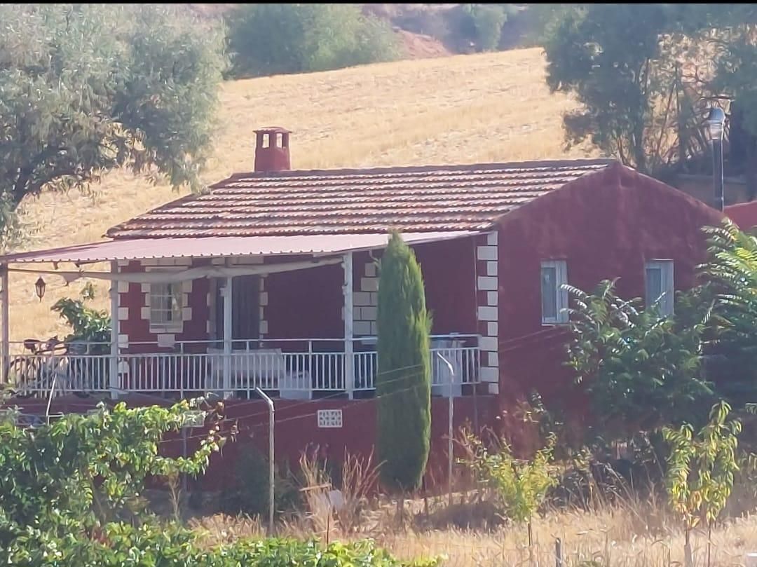 Vista exterior de Casa o xalet en venda en Saelices amb Jardí privat i Moblat