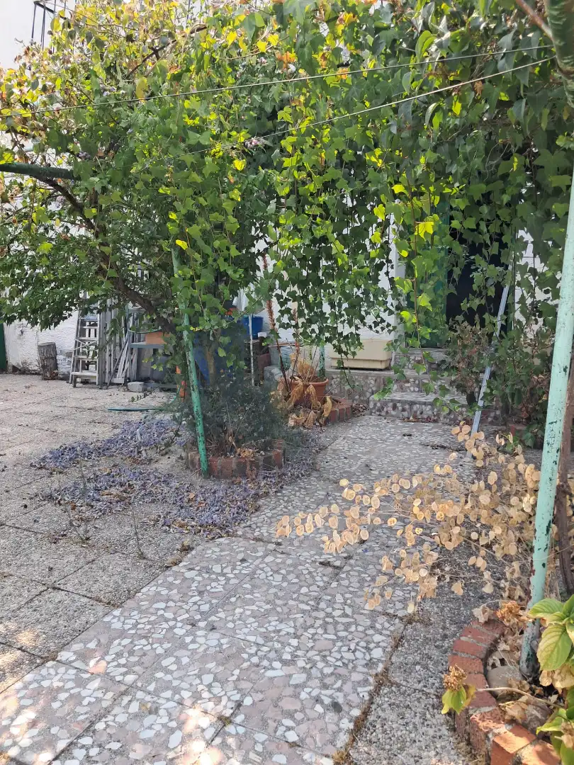 Garden of Houses for sale in Cazalegas  with Private garden, Terrace and Storage room