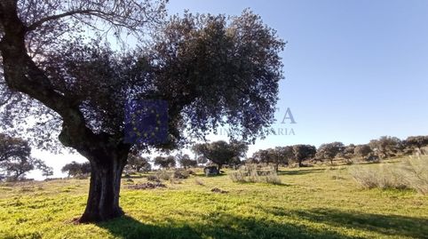 Foto 3 de Casa o chalet en venta en Poligono 11 Paraje 59 Cañada, Navalmoral de la Mata, Cáceres