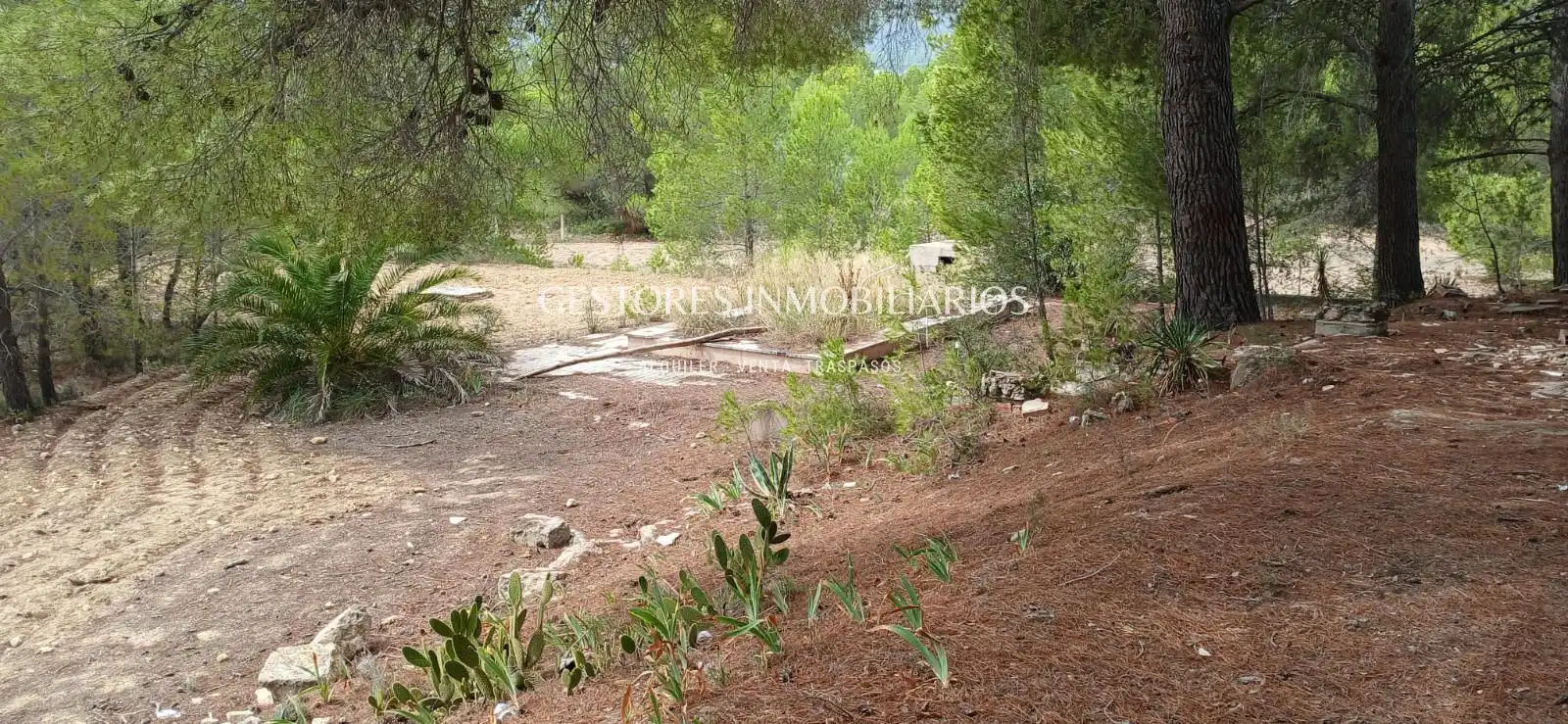Casa con piscina en venta en Partida la arpella, imagen 16
