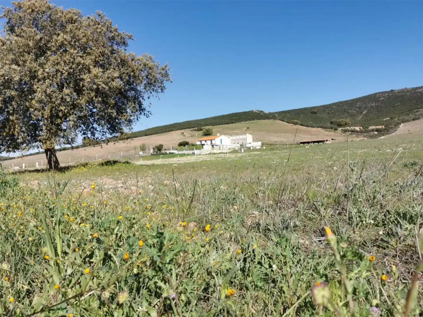 Pis en venda en Zalamea de la Serena amb Aire condicionat, Jardí privat i Parquet