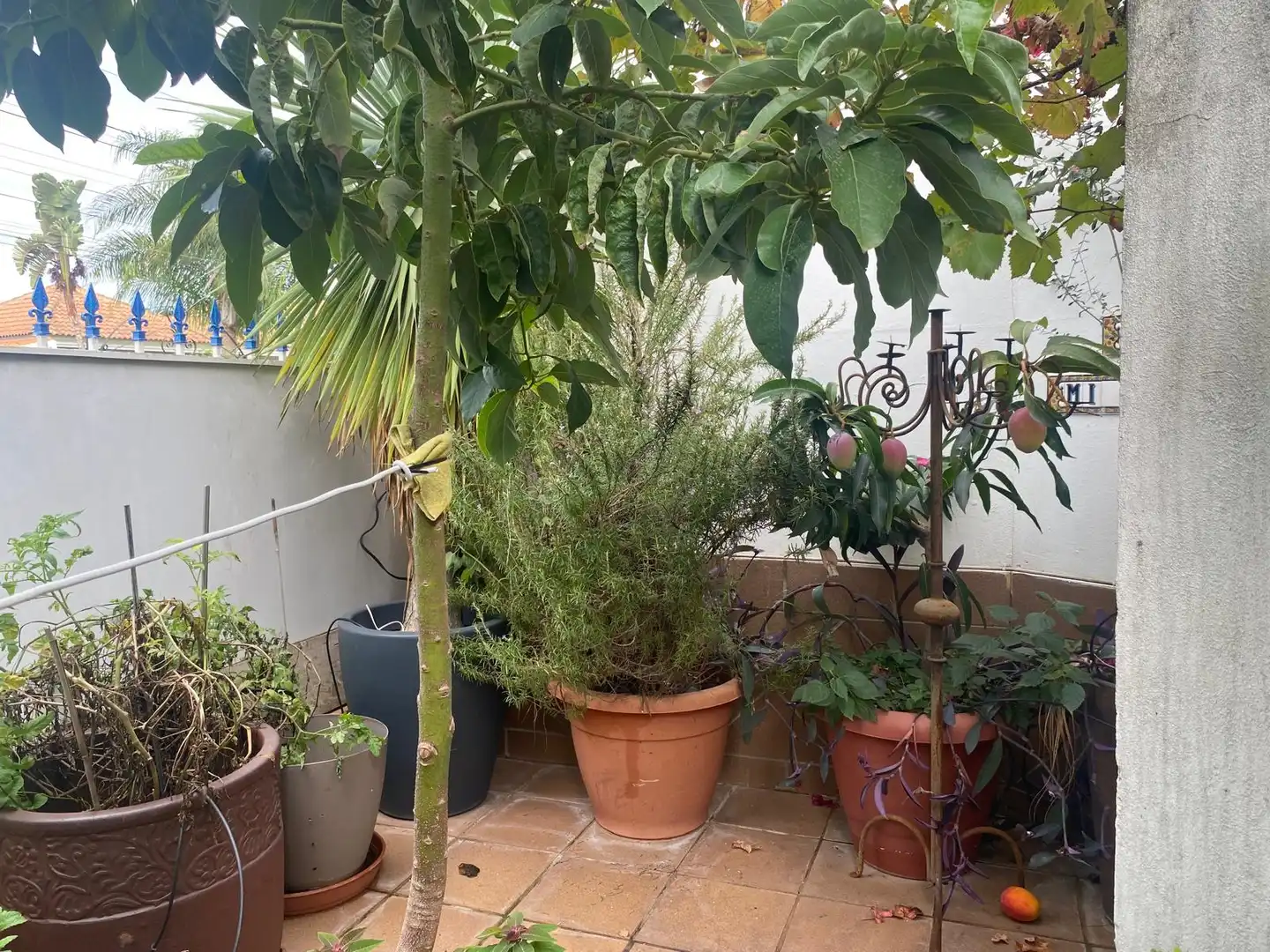 Jardí de Casa o xalet en venda en Dos Hermanas amb Aire condicionat, Jardí privat i Terrassa