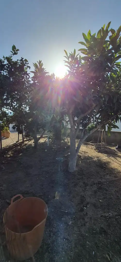 Houses for sale in Cullera  with Heating, Private garden and Storage room