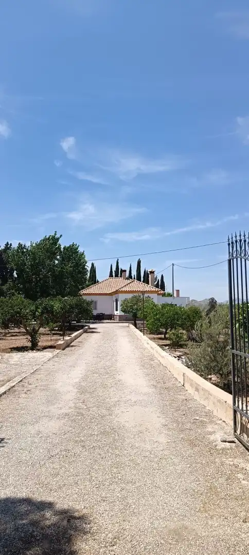 Vista exterior de Casa o chalet de alquiler en Lorca con Calefacción, Jardín privado y Piscina