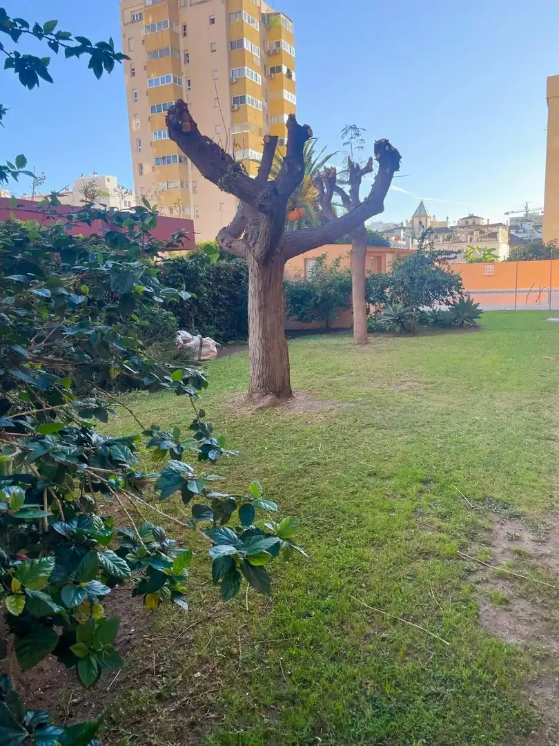 Apartament amb piscina en venda a Los Boliches, imagen 26