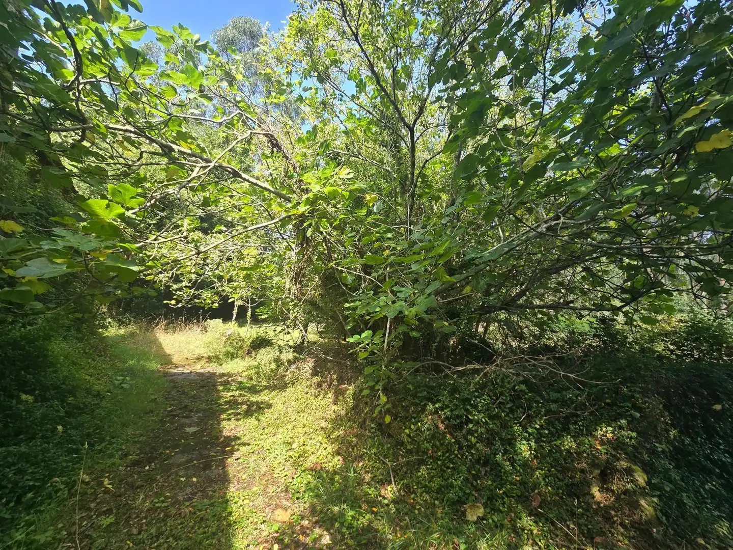 Country house with garden for sale in LG PENOUCO, O - PQ BOIMENTE 4, imagen 25