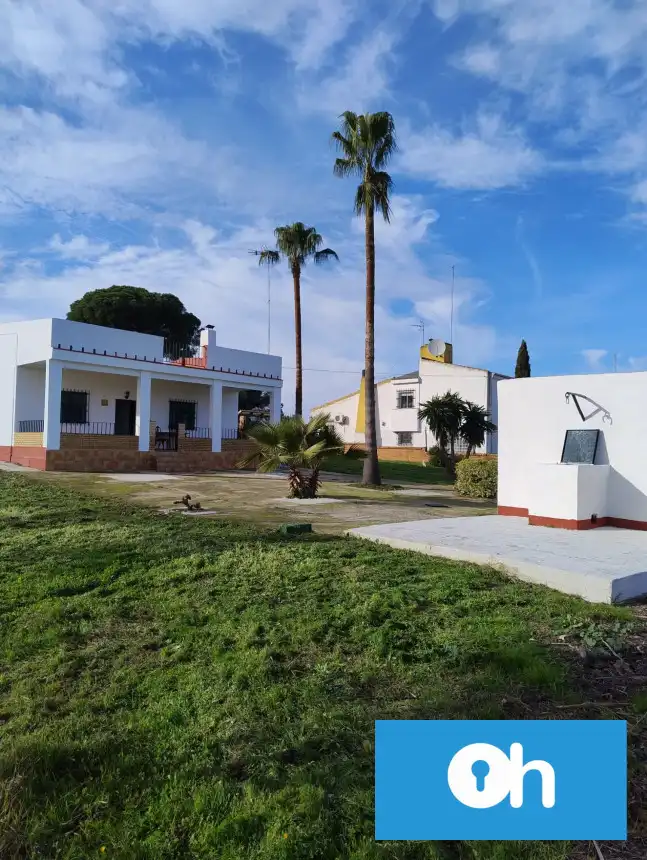 Vista exterior de Finca rústica en venta en Bonares
