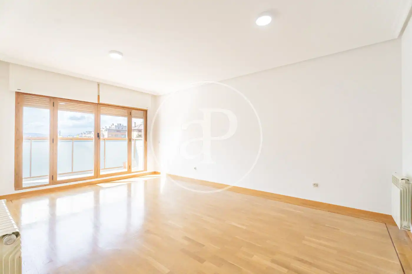 Living room of Flat for rent in Madrid  with Air Conditioner, Heating and Terrace