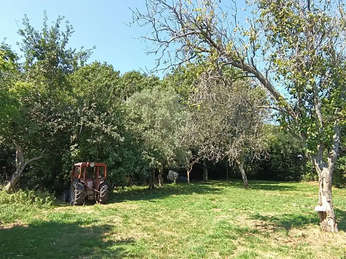 Casa o chalet en venta en Aranga