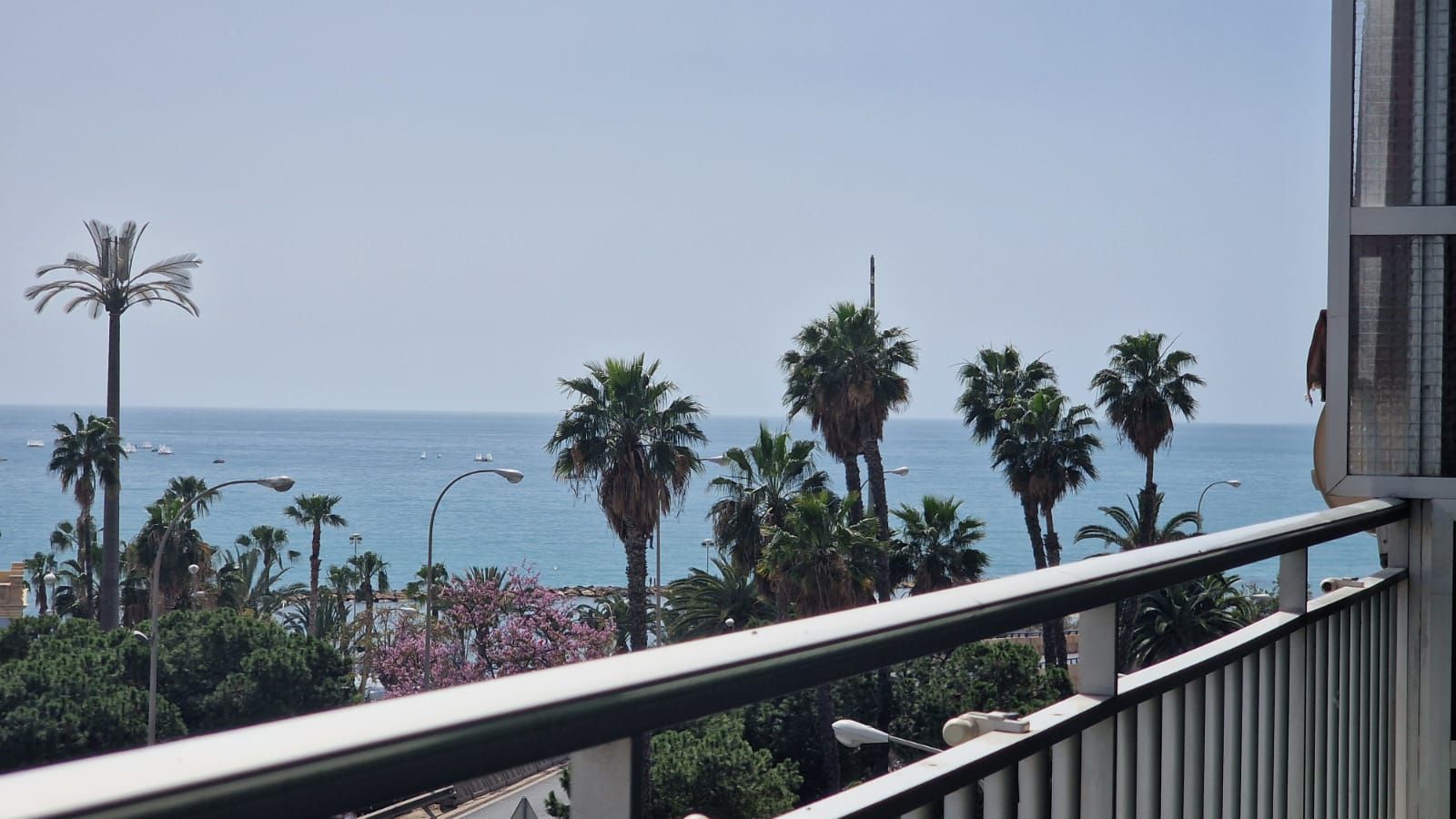 Exterior view of Flat for sale in Alicante / Alacant  with Terrace, Furnished and Oven