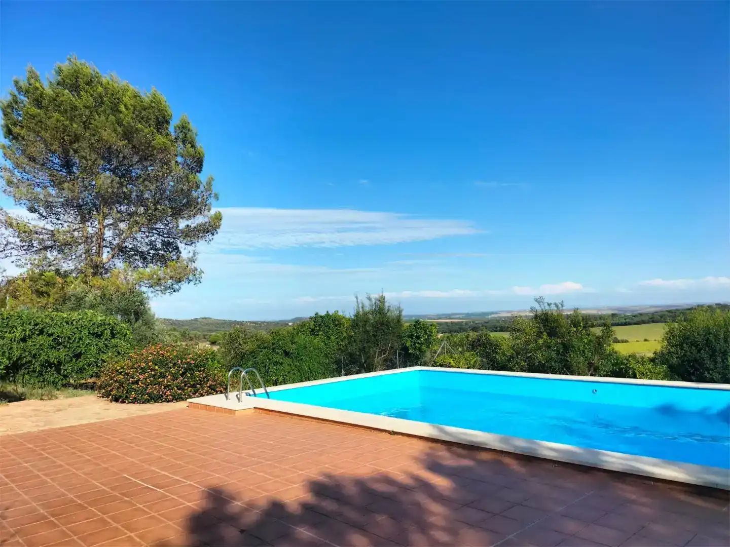 Piscina de Finca rústica en venda en Peñaflor amb Aire condicionat, Jardí privat i Traster