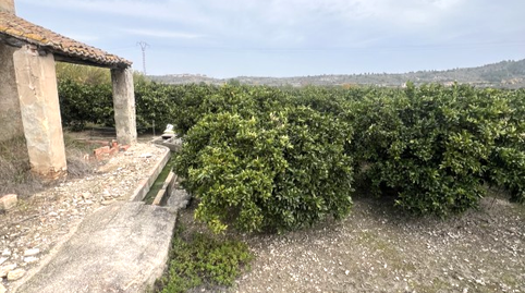 Photo 4 of Residential for sale in Perdut, L'Énova, Valencia