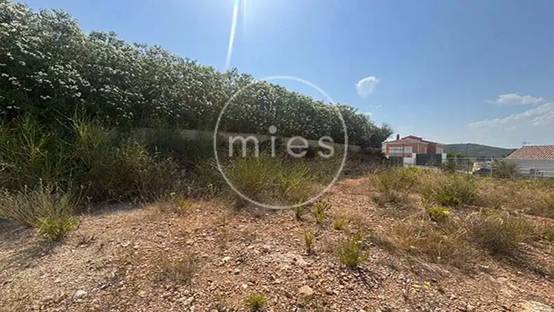 Rural land for sale in Urbanización Altury 0, imagen 20