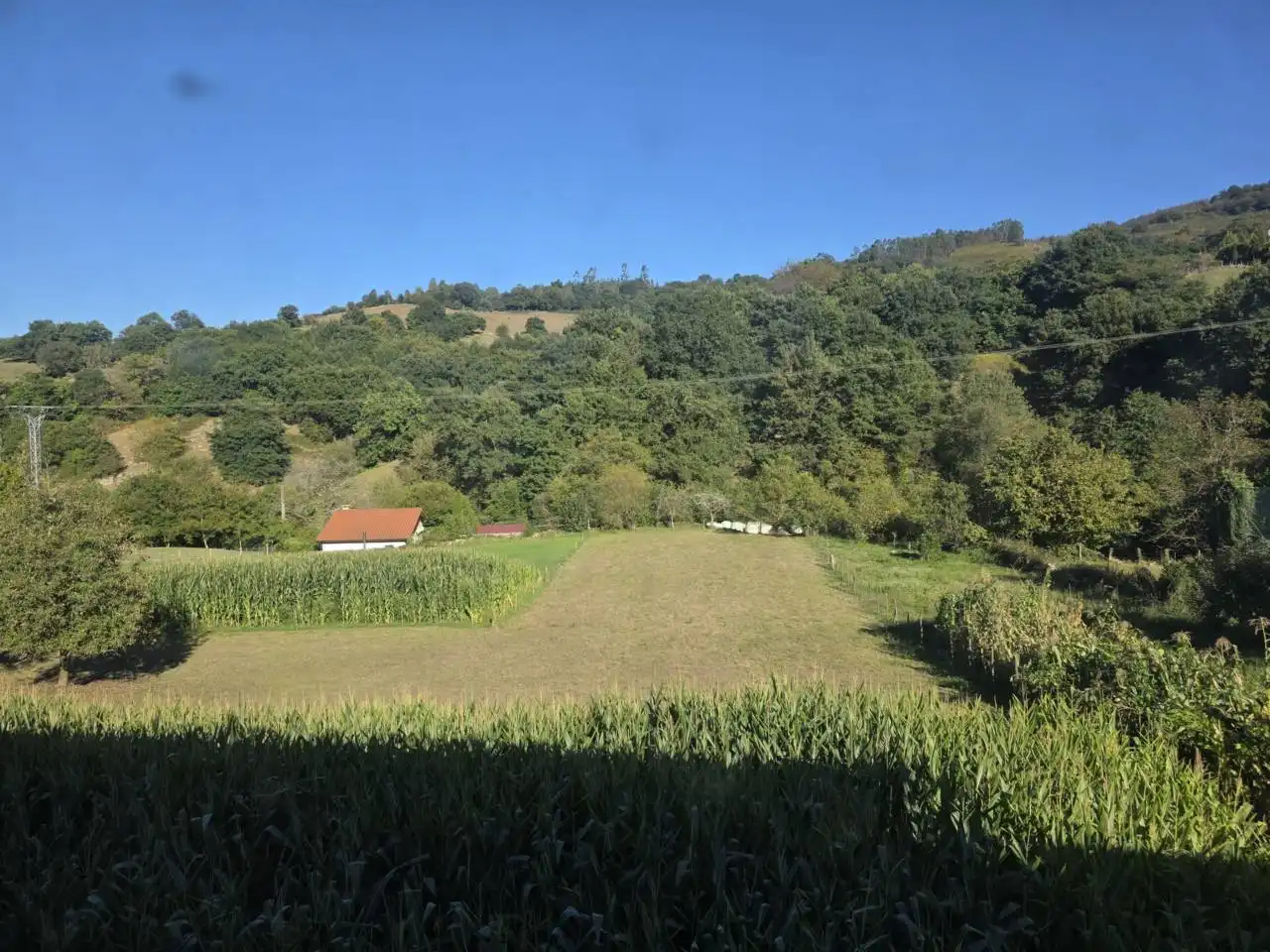 Casa con jardín en venta en Calle La Molina, imagen 14