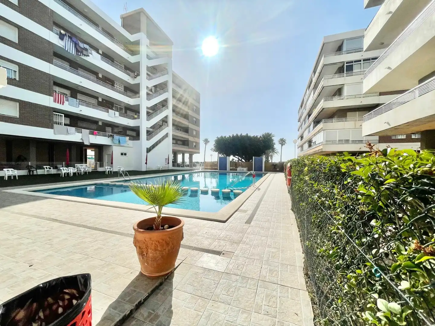 Swimming pool of Apartments for rent in Torrevieja  with Air Conditioner, Heating and Terrace