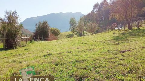 MorcínTerreno, immagine 3