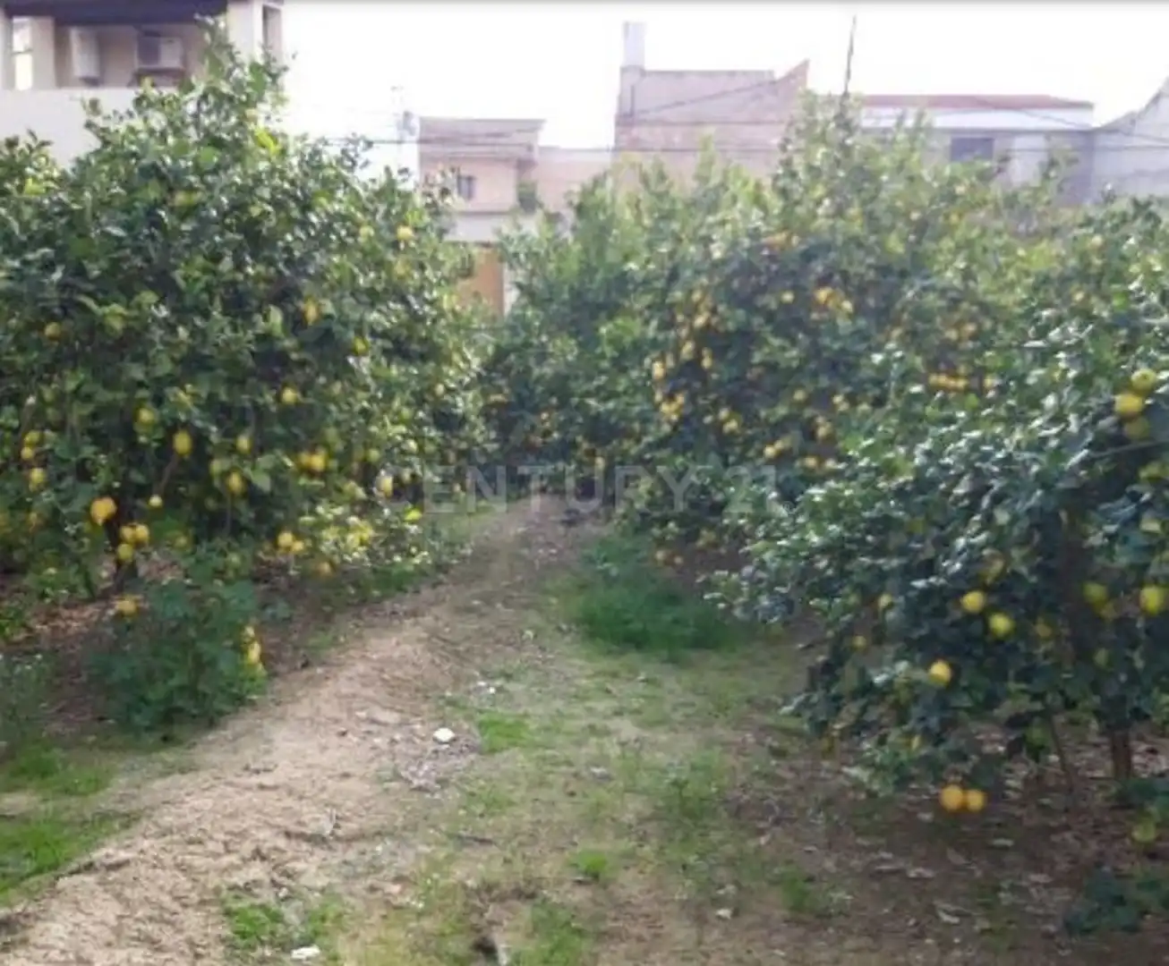 Terreno en venta en Camino de los Pinos, San José de la Vega
