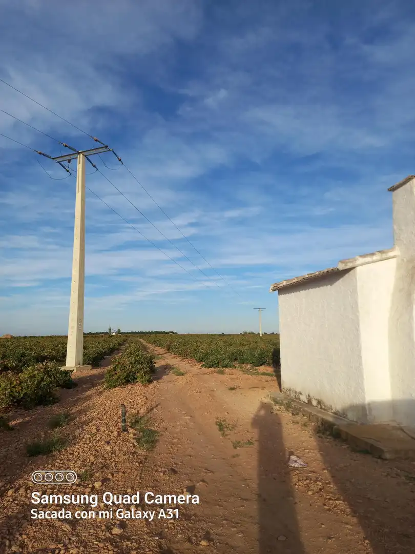 Terreno rústico en venta en Tomelloso, imagen 4