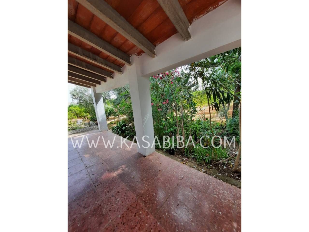 Garden of House or chalet for sale in Chiva  with Private garden and Terrace