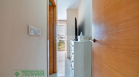 Foto 3 de Piso en venta en Ejido Norte, El Ejido