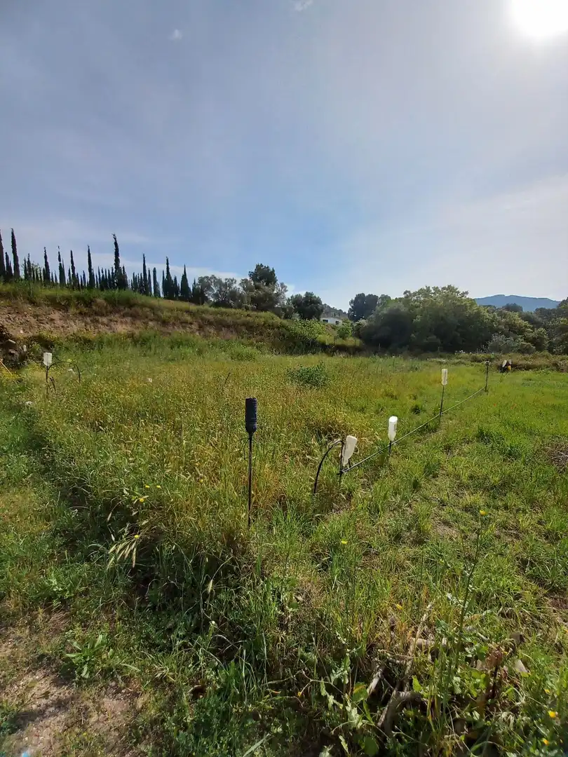 Terrain rustique à vendre à Ginestar, imagen 8